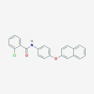 molecular formula C23H16ClNO2 B339977 2-chloro-N-[4-(2-naphthyloxy)phenyl]benzamide 