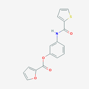 molecular formula C16H11NO4S B340231 3-[(2-Thienylcarbonyl)amino]phenyl 2-furoate 
