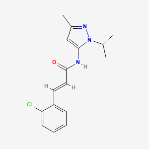 (E)-3-(2-chlorophenyl)-N-(1-isopropyl-3-methyl-1H-pyrazol-5-yl)acrylamide