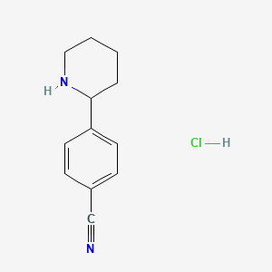 molecular formula C12H15ClN2 B3404054 4-(哌啶-2-基)苯甲腈盐酸盐 CAS No. 1203685-85-1