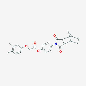 molecular formula C25H25NO5 B340437 4-(1,3-dioxooctahydro-2H-4,7-methanoisoindol-2-yl)phenyl (3,4-dimethylphenoxy)acetate 