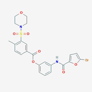 molecular formula C23H21BrN2O7S B340515 3-[(5-Bromo-2-furoyl)amino]phenyl 4-methyl-3-(morpholin-4-ylsulfonyl)benzoate 