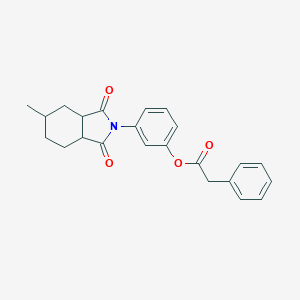molecular formula C23H23NO4 B340570 3-(5-methyl-1,3-dioxooctahydro-2H-isoindol-2-yl)phenyl phenylacetate 