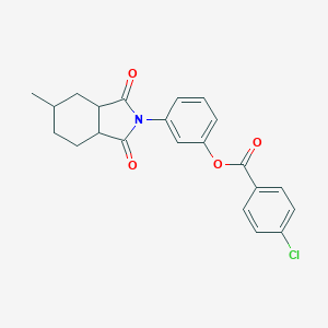 molecular formula C22H20ClNO4 B340572 3-(5-methyl-1,3-dioxooctahydro-2H-isoindol-2-yl)phenyl 4-chlorobenzoate 