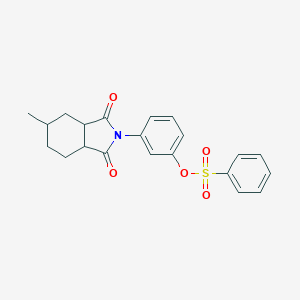 molecular formula C21H21NO5S B340583 3-(5-methyl-1,3-dioxooctahydro-2H-isoindol-2-yl)phenyl benzenesulfonate 