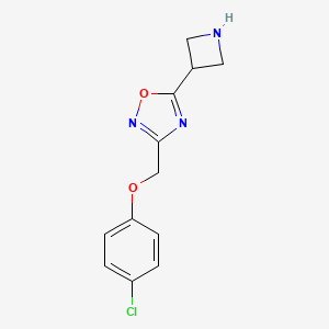 molecular formula C12H12ClN3O2 B3406001 5-(Azetidin-3-yl)-3-((4-chlorophenoxy)methyl)-1,2,4-oxadiazole CAS No. 1807979-87-8