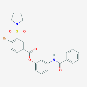 molecular formula C24H21BrN2O5S B340663 3-[(Phenylcarbonyl)amino]phenyl 4-bromo-3-(pyrrolidin-1-ylsulfonyl)benzoate 
