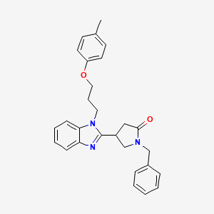 molecular formula C28H29N3O2 B3407767 1-benzyl-4-{1-[3-(4-methylphenoxy)propyl]-1H-1,3-benzodiazol-2-yl}pyrrolidin-2-one CAS No. 847396-63-8