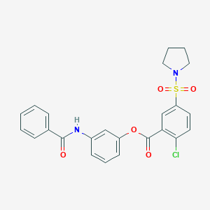 molecular formula C24H21ClN2O5S B341018 3-(Benzoylamino)phenyl 2-chloro-5-(1-pyrrolidinylsulfonyl)benzoate 