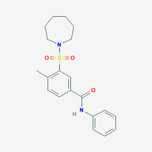 molecular formula C20H24N2O3S B341021 3-(azepan-1-ylsulfonyl)-4-methyl-N-phenylbenzamide 