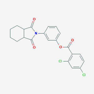 molecular formula C21H17Cl2NO4 B341162 3-(1,3-dioxooctahydro-2H-isoindol-2-yl)phenyl 2,4-dichlorobenzoate 
