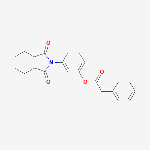 molecular formula C22H21NO4 B341168 3-(1,3-dioxooctahydro-2H-isoindol-2-yl)phenyl phenylacetate 