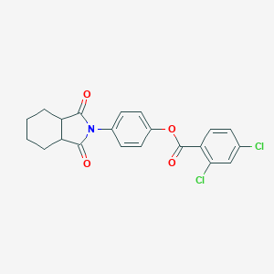4-(1,3-dioxooctahydro-2H-isoindol-2-yl)phenyl 2,4-dichlorobenzoate