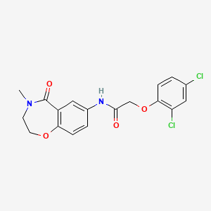 molecular formula C18H16Cl2N2O4 B3411993 2-(2,4-dichlorophenoxy)-N-(4-methyl-5-oxo-2,3,4,5-tetrahydrobenzo[f][1,4]oxazepin-7-yl)acetamide CAS No. 921995-83-7