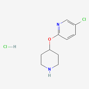 molecular formula C10H14Cl2N2O B3414977 5-Chloro-2-(piperidin-4-yloxy)pyridine hydrochloride CAS No. 950672-33-0