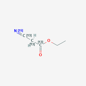molecular formula C5H7NO2 B3415242 Ethyl (~13~C,~15~N)cyano(~13~C_2_)acetate CAS No. 1196157-67-1