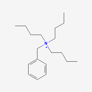 molecular formula C19H34N+ B3416025 N,N,N-Tributylbenzenemethanaminium CAS No. 54225-72-8