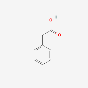 B3417928 Phenylacetic acid CAS No. 17303-65-0