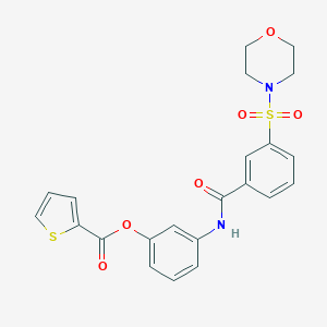 molecular formula C22H20N2O6S2 B341834 3-{[3-(4-Morpholinylsulfonyl)benzoyl]amino}phenyl 2-thiophenecarboxylate 