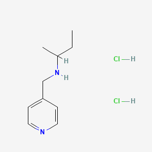 molecular formula C10H17ClN2 B3418436 (Butan-2-yl)[(pyridin-4-yl)methyl]amine dihydrochloride CAS No. 1240568-17-5