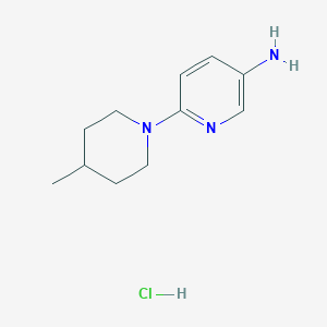 molecular formula C11H18ClN3 B3419415 6-(4-甲基哌啶-1-基)吡啶-3-胺盐酸盐 CAS No. 1431964-35-0