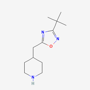 molecular formula C12H21N3O B3419701 4-[(3-tert-Butyl-1,2,4-oxadiazol-5-yl)methyl]piperidine CAS No. 1526439-02-0