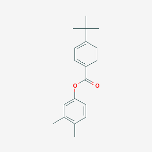 molecular formula C19H22O2 B342004 3,4-Dimethylphenyl 4-tert-butylbenzoate 