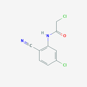 molecular formula C9H6Cl2N2O B3420443 2-氯-N-(5-氯-2-氰基苯基)乙酰胺 CAS No. 189083-68-9