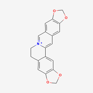 molecular formula C19H14NO4+ B3420631 Pseudocoptisine CAS No. 19716-67-7