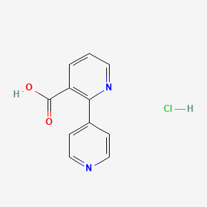 molecular formula C11H9ClN2O2 B3421669 [2,4'-Bipyridine]-3-carboxylic acid hydrochloride CAS No. 2219371-65-8
