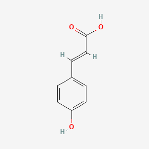molecular formula C9H8O3 B3426133 对羟基肉桂酸 CAS No. 50940-26-6
