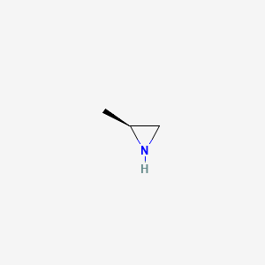 molecular formula C3H7N B3426429 (s)-2-Methylaziridine CAS No. 52340-20-2