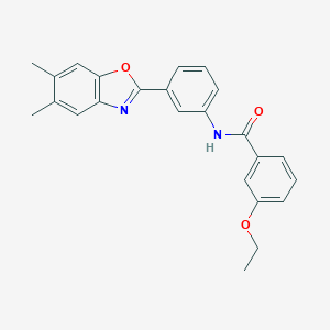 molecular formula C24H22N2O3 B342650 N-[3-(5,6-dimethyl-1,3-benzoxazol-2-yl)phenyl]-3-ethoxybenzamide 