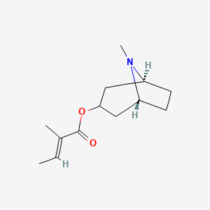 molecular formula C13H21NO2 B3426560 Tigloidine CAS No. 533-08-4