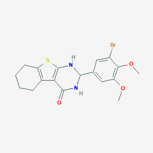 molecular formula C18H19BrN2O3S B342708 2-(3-bromo-4,5-dimethoxyphenyl)-2,3,5,6,7,8-hexahydro[1]benzothieno[2,3-d]pyrimidin-4(1H)-one 