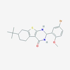 molecular formula C21H25BrN2O2S B343117 2-(5-bromo-2-methoxyphenyl)-7-tert-butyl-2,3,5,6,7,8-hexahydro-1H-[1]benzothiolo[2,3-d]pyrimidin-4-one 