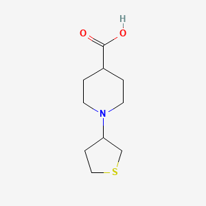 molecular formula C10H17NO2S B3434359 1-(Thiolan-3-yl)piperidine-4-carboxylic acid CAS No. 897094-34-7