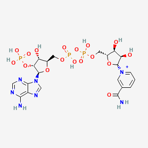 molecular formula C21H29N7O17P3+ B3434880 NADP nicotinamide-adenine-dinucleotide phosphate CAS No. 604-79-5