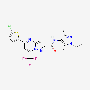 molecular formula C19H16ClF3N6OS B3435082 5-(5-chloro-2-thienyl)-N-(1-ethyl-3,5-dimethyl-1H-pyrazol-4-yl)-7-(trifluoromethyl)pyrazolo[1,5-a]pyrimidine-2-carboxamide 