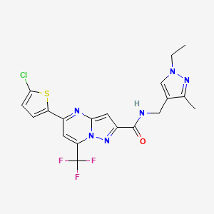 molecular formula C19H16ClF3N6OS B3435101 5-(5-chloro-2-thienyl)-N-[(1-ethyl-3-methyl-1H-pyrazol-4-yl)methyl]-7-(trifluoromethyl)pyrazolo[1,5-a]pyrimidine-2-carboxamide 