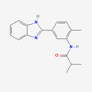molecular formula C18H19N3O B3443653 N-[5-(1H-benzimidazol-2-yl)-2-methylphenyl]-2-methylpropanamide 