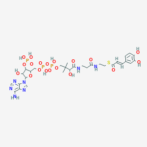 molecular formula C30H42N7O19P3S B344482 Caffeoyl-coenzyme A CAS No. 53034-79-0