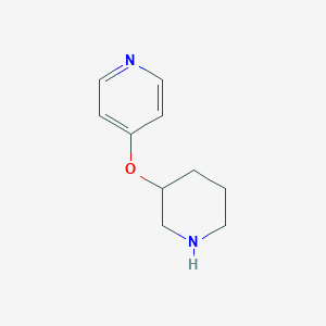 molecular formula C10H14N2O B344541 4-Piperidin-3-yloxypyridine CAS No. 933701-61-2