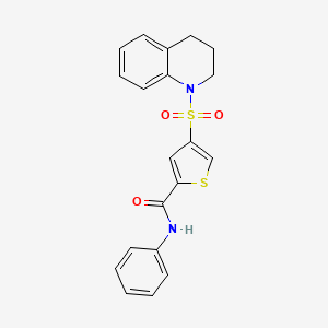 molecular formula C20H18N2O3S2 B3446720 4-(3,4-dihydro-1(2H)-quinolinylsulfonyl)-N-phenyl-2-thiophenecarboxamide 
