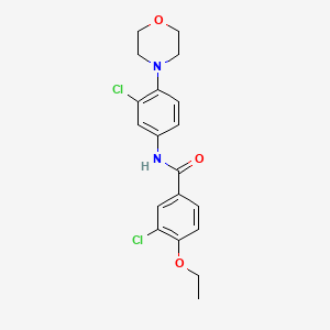 molecular formula C19H20Cl2N2O3 B3459393 3-chloro-N-[3-chloro-4-(4-morpholinyl)phenyl]-4-ethoxybenzamide 