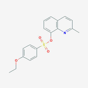 molecular formula C18H17NO4S B346248 2-Methyl-8-quinolyl 4-ethoxybenzenesulfonate CAS No. 333311-22-1