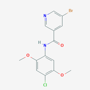 5-bromo-N-(4-chloro-2,5-dimethoxyphenyl)nicotinamide