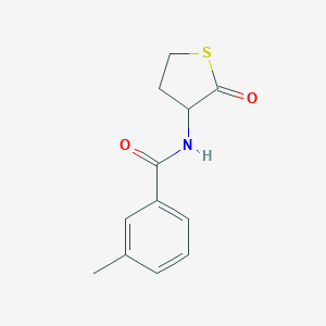 molecular formula C12H13NO2S B346374 3-methyl-N-(2-oxotetrahydrothiophen-3-yl)benzamide CAS No. 321521-70-4