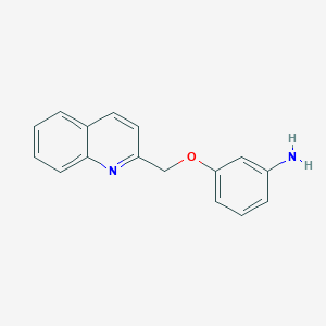 molecular formula C16H14N2O B346731 3-(2-Quinolinylmethyloxy)aniline 