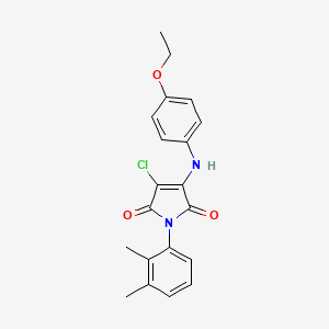 molecular formula C20H19ClN2O3 B3472491 3-chloro-1-(2,3-dimethylphenyl)-4-[(4-ethoxyphenyl)amino]-1H-pyrrole-2,5-dione 